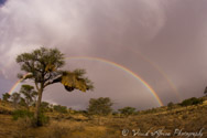 Kalahari rainbow